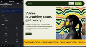 Elementor screenshot